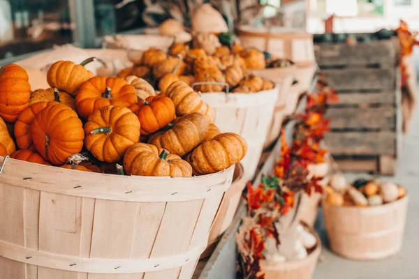 農場の店でバスケットに赤いカボチャ 秋の収穫 屋外の装飾を保存します 感謝祭とハロウィーンの休日の準備 カラフルな新鮮な旬の野菜 — ストック写真