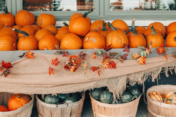 Zucche Rosse Verdi Cestini Dal Negozio Fattoria Vendemmia Autunnale Conservare — Foto Stock