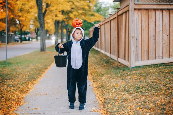 Truco Trato Niño Feliz Con Calabaza Roja Cabeza Niño Engañar —  Fotos de Stock