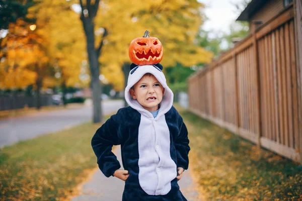 Truco Trato Gracioso Niño Enojado Gruñón Con Calabaza Roja Cabeza —  Fotos de Stock