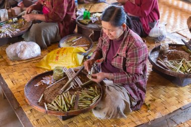 Inle Gölü, Myanmar - 01 Aralık 2014: kadın el sanatları Atölyesi Inle Gölü, Myanmar olarak Nam Pam Köyü'nde geleneksel cheroot puro haddeleme