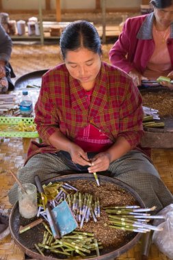 Inle Gölü, Myanmar - 01 Aralık 2014: kadın el sanatları Atölyesi Inle Gölü, Myanmar olarak Nam Pam Köyü'nde geleneksel cheroot puro haddeleme