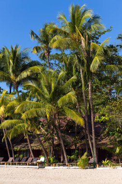 Ngapali, Myanmar - 03 Aralık 2014: Ngapali plaj beyaz kum, mavi gökyüzü ve palmiye ağaçlarıyla, Myanmar