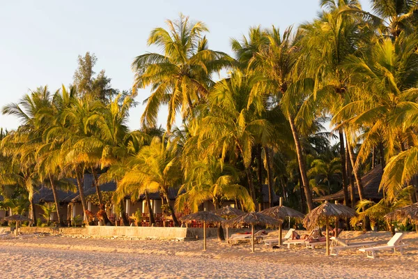 Ngapali, Myanmar - 03 Aralık 2014: Ngapali plaj beyaz kum, mavi gökyüzü ve palmiye ağaçlarıyla, Myanmar