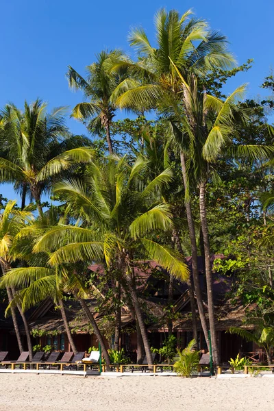 Ngapali, Myanmar - 03 Aralık 2014: Ngapali plaj beyaz kum, mavi gökyüzü ve palmiye ağaçlarıyla, Myanmar