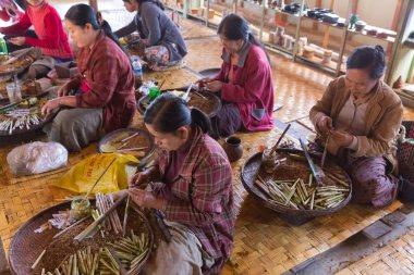 Inle Gölü, Myanmar - 01 Aralık 2014: kadın el sanatları Atölyesi Inle Gölü, Myanmar olarak Nam Pam Köyü'nde geleneksel cheroot puro haddeleme