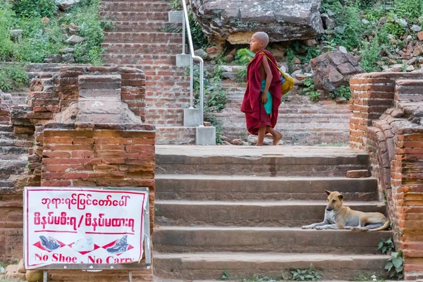Mandalay, Myanmar - 24 Kasım 2014: genç rahip Mingun, Mandalay, Myanmar