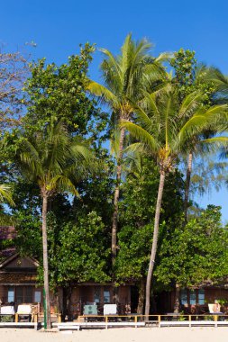 Ngapali, Myanmar - 03 Aralık 2014: Ngapali plaj beyaz kum, mavi gökyüzü ve palmiye ağaçlarıyla, Myanmar