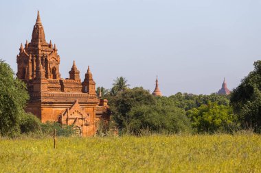 Bagan tapınaklar, Myanmar