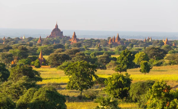Myanmar Bagan tapınaklarda, günbatımında. Arka planda, güzel Sulamani Tapınağı.