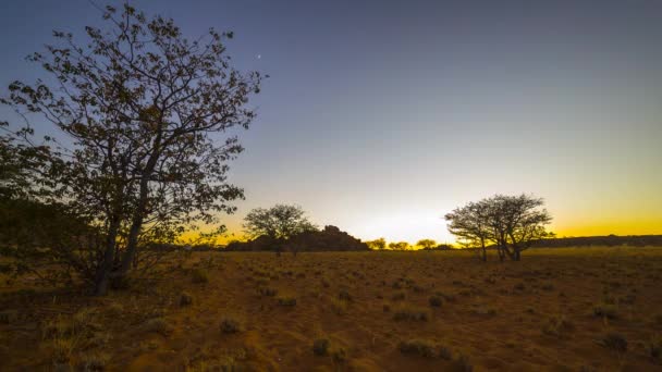 Amazing Sunrise Damaraland Desert Namibia — Stock Video