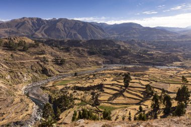 Peru 'daki Chivay yakınlarındaki Colca Kanyonu' nun panoramik manzarası.