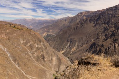 Peru 'daki Chivay yakınlarındaki Colca Kanyonu' nun panoramik manzarası.