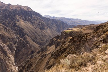 Peru 'daki Chivay yakınlarındaki Colca Kanyonu' nun panoramik manzarası.