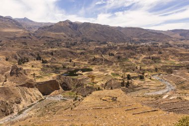Peru 'daki Chivay yakınlarındaki Colca Kanyonu' nun panoramik manzarası.