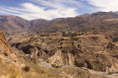 Peru 'daki Chivay yakınlarındaki Colca Kanyonu' nun panoramik manzarası.