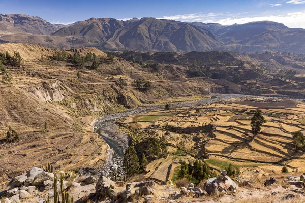 Vista Panorámica Del Cañón Del Colca Cerca Chivay Perú — Foto de Stock
