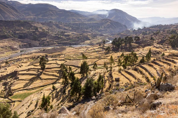 Panoramisch Uitzicht Colca Canyon Buurt Van Chivay Peru — Stockfoto