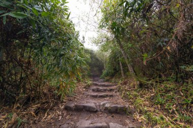 Machu Picchu, Peru 'daki İnka harabelerinden, 2,430 masl, Machu Picchu dağının zirvesine, 3,082 masl, 1600 basamak ve taş patika. Zirvedeyken manzaranın tamamını görebilirsin..