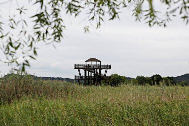 Parkta küçük bir ahşap ev