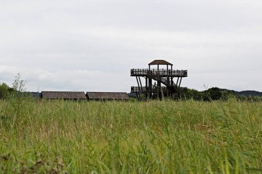 Tayland 'da terk edilmiş eski bir bina.