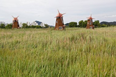 Tarlada yel değirmeni