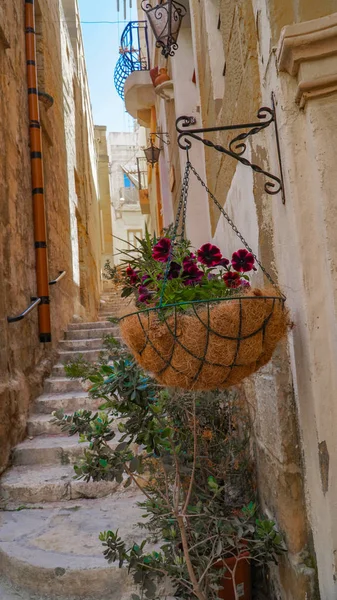 Malta Eski Valletta Dar Ortaçağ Sokaklarında Sermaye Şehir Malta Valletta — Stok fotoğraf