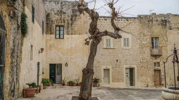 Eski Mdina Malta Ortaçağ Sokaklarında Yürüyüş — Stok fotoğraf