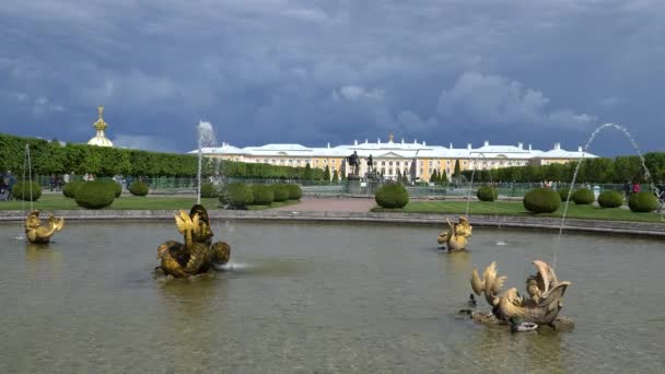 Petersburg Peterhof Ryssland Juni 2018 Berömda Peterhofs Fontäner Och Palats — Stockvideo