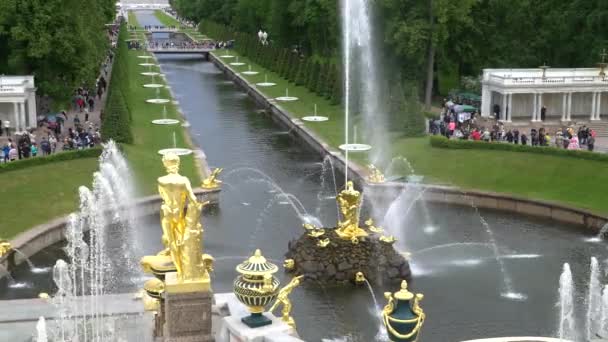 Große kaskade, berühmte petergof-brunnen in st. petersburg, russland. Blick vom Palast. — Stockvideo