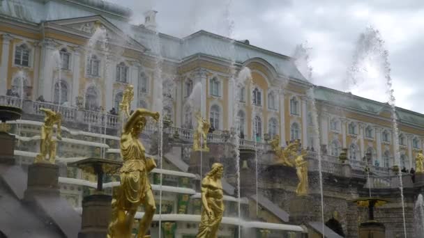 壮大に流れ、有名なペテルゴーフ噴水、サンクトペテルブルク、ロシア. — ストック動画