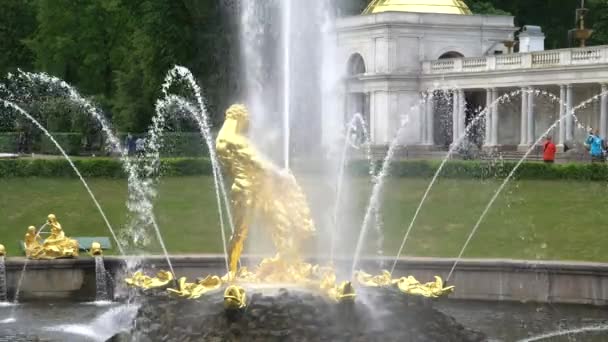 Grande cascade, fontaines célèbres de Petergof à Saint-Pétersbourg, Russie. Fontaine statue Golden Samson dans le parc Peterhof . — Video