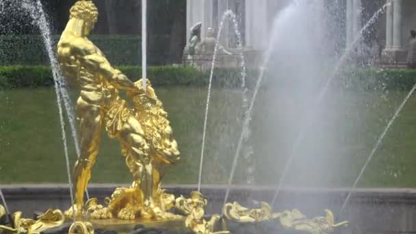 Великий Каскад, знаменитий Petergof фонтанів в Санкт-Петербурзі, Росія. Золотий фонтан Самсон статуя в Петергофі, парку. — стокове відео