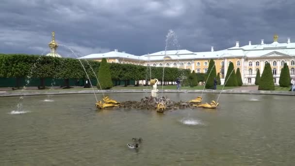 有名なペテルゴーフ噴水、宮殿、サンクトペテルブルク、ロシア. — ストック動画