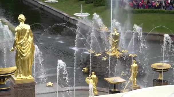 Grande cascata, famosas fontes Petergof Em São Petersburgo, Rússia . — Vídeo de Stock