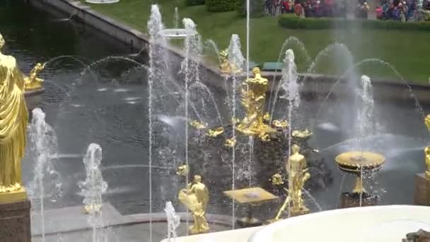 Große kaskade, berühmte petergof-brunnen in st. petersburg, russland. — Stockvideo