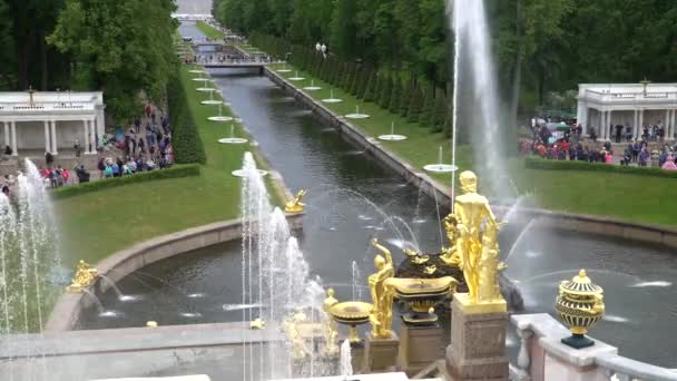 壮大に流れ、有名なペテルゴーフ噴水、サンクトペテルブルク、ロシアです。宮殿からの眺め. — ストック動画