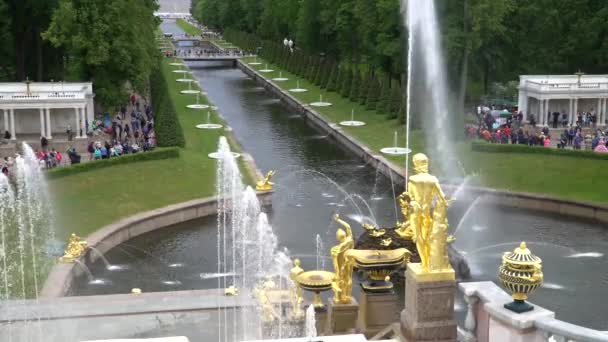 Grande cascata, famose fontane Petergof A San Pietroburgo, Russia. Vista dal Palazzo . — Video Stock