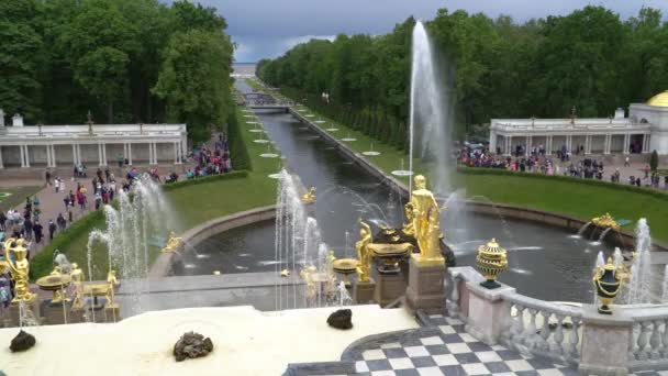 Gran cascada, famosas fuentes Petergof en San Petersburgo, Rusia. Vista desde el Palacio . — Vídeo de stock