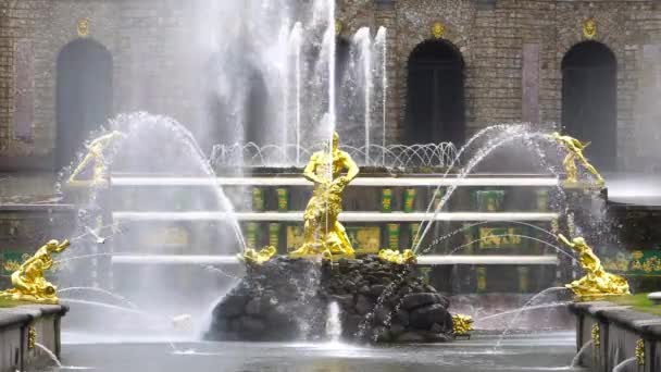 Petersburg Peterhof Ryssland Juni 2018 Berömda Peterhofs Fontäner Och Palats — Stockvideo