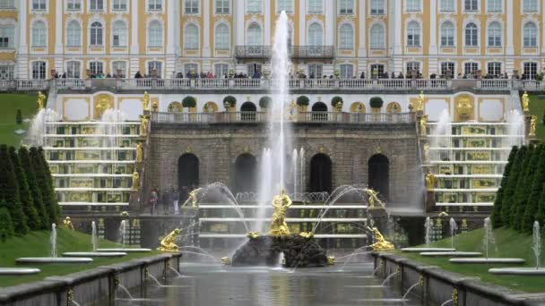 Petersburg Peterhof Rusya Haziran 2018 Ünlü Petergof Çeşmeler Saraylar Petersburg — Stok video