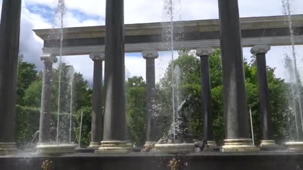 Petersburg Peterhof Russland Juni 2018 Berühmte Petergof Brunnen Und Paläste — Stockvideo