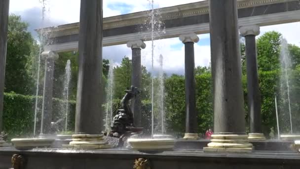 圣彼得堡 彼得夏宫 俄罗斯 2018年6月 著名的 Petergof 喷泉和宫殿在圣彼得堡 俄罗斯 — 图库视频影像