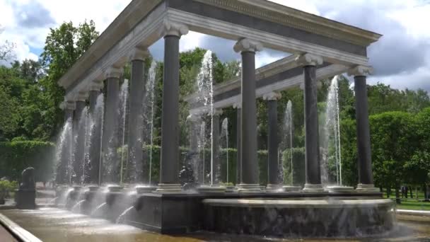 Petersburg Peterhof Russland Juni 2018 Berühmte Petergof Brunnen Und Paläste — Stockvideo