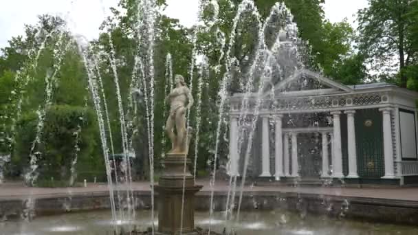 Petersburg Peterhof Russland Juni 2018 Berühmte Petergof Brunnen Und Paläste — Stockvideo