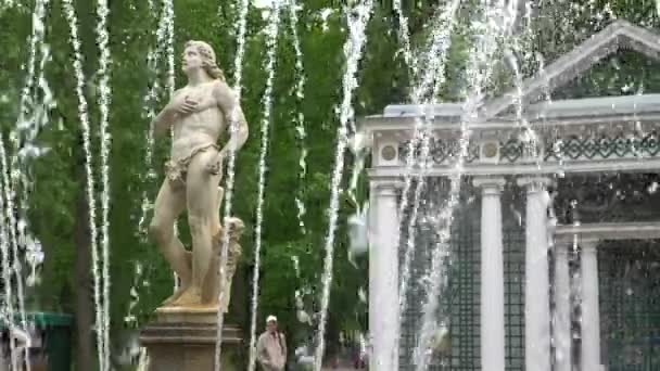 圣彼得堡 彼得夏宫 俄罗斯 2018年6月 著名的 Petergof 喷泉和宫殿在圣彼得堡 俄罗斯 — 图库视频影像