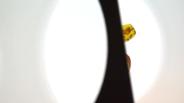 Kehribar taşı. Tarih öncesi fosil böcek makro ile otantik Baltık amber. Cam büyütme ve amber artan.