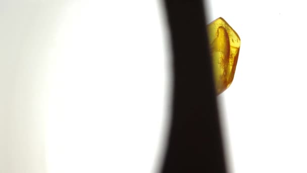 Sárga kő. Hiteles Balti borostyán őskori fosszilis rovar makró. Nagyító és a növekvő amber. — Stock videók