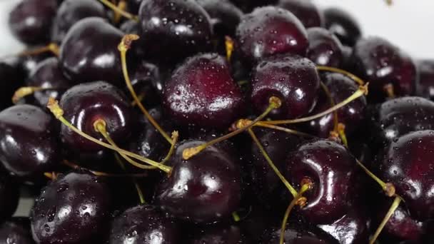 Cereza. Cerezas maduras girando sobre fondo blanco. Cereza negra madura giratoria. Rotación 4K UHD de vídeo. Lazo sin fisuras. Primer plano Makro . — Vídeo de stock