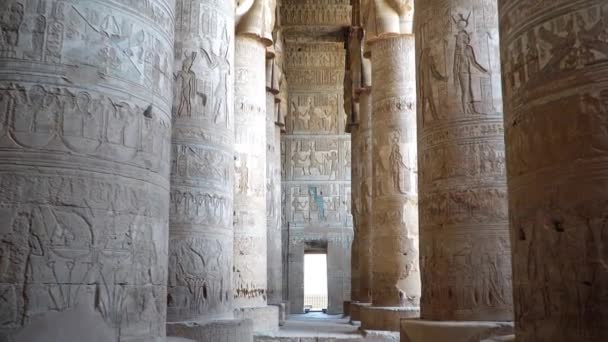 İç Dendera tapınak veya tapınak Hathor. Mısır. Dendera, Denderah, Mısır'daki küçük bir kasabadır. Dendera tapınak kompleksi, antik yukarı Mısır tiyatrosuyla Tapınağı sitelerden biri. — Stok video